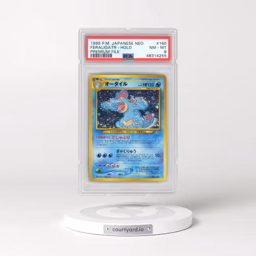 2000 Pokémon Neo #160 Feraligatr - Holo Premium File (PSA 8 NM-MT)