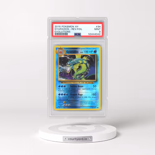 2016 Pokémon XY Evolutions #34 Gyarados - Reverse Foil (PSA 9 MINT)