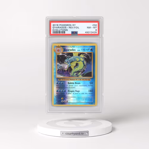 2016 Pokémon XY Evolutions #34 Gyarados - Reverse Foil (PSA 8 NM-MT)
