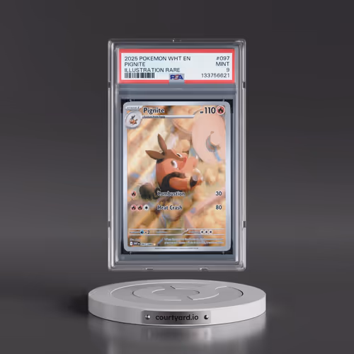 2025 Pokémon Wht EN-White Flare #097 Pignite - Illustration Rare (PSA 9 MINT)