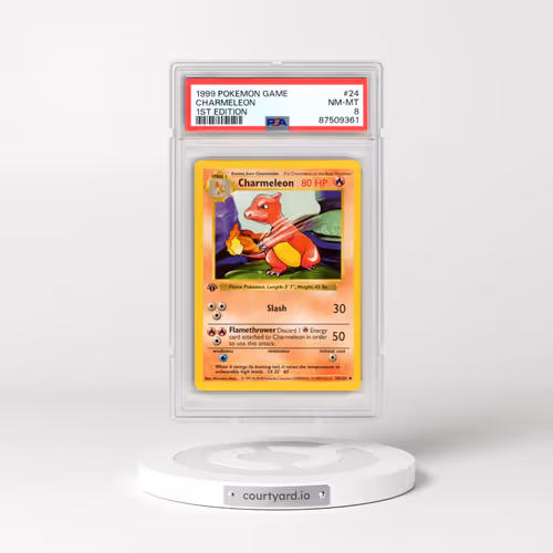 1999 Pokémon Game #24 Charmeleon - 1st Edition (PSA 8 NM-MT)