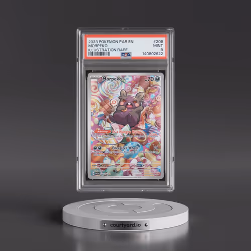 2023 Pokémon Par EN-Paradox Rift #206 Morpeko - Illustration Rare (PSA 9 MINT)