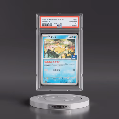 2025 Pokémon SV-P Promo #262 Psyduck - Gym Promo Pack 10 (PSA 10 GEM MINT)