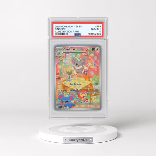2024 Pokémon Tef EN-Temporal Forces #183 Cinccino - Illustration Rare (PSA 10 GEM MINT)
