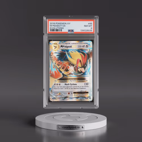 2016 Pokémon XY Evolutions #65 M Pidgeot EX - Holo (PSA 8 NM-MT)