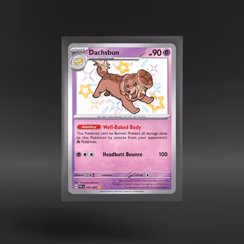 Paldean Fates #161/091 Dachsbun
