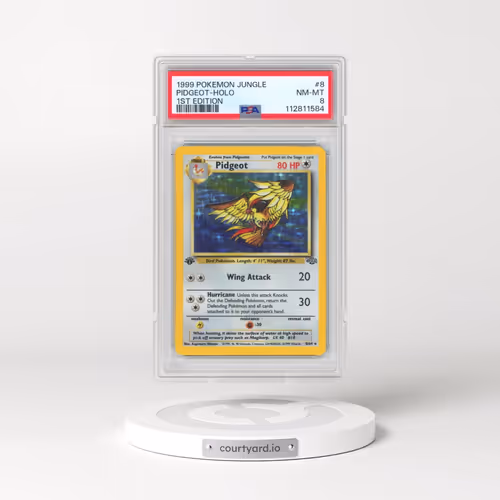 1999 Pokémon Jungle #8 Pidgeot - 1st Edition Holo (PSA 8 NM-MT)