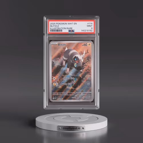 2025 Pokémon Wht EN-White Flare #114 Blitzle - Illustration Rare (PSA 9 MINT)