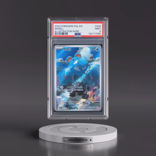 2023 Pokémon Pal EN-Paldea Evolved #204 Marill - Illustration Rare (PSA 9 MINT)