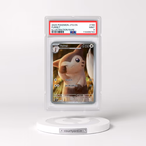 2025 Pokémon Jtg EN-Journey Together #168 Furret - Illustration Rare (PSA 9 MINT)