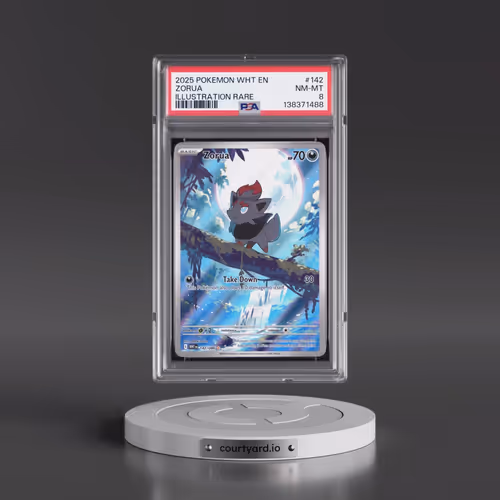2025 Pokémon Wht EN-White Flare #142 Zorua - Illustration Rare (PSA 8 NM-MT)