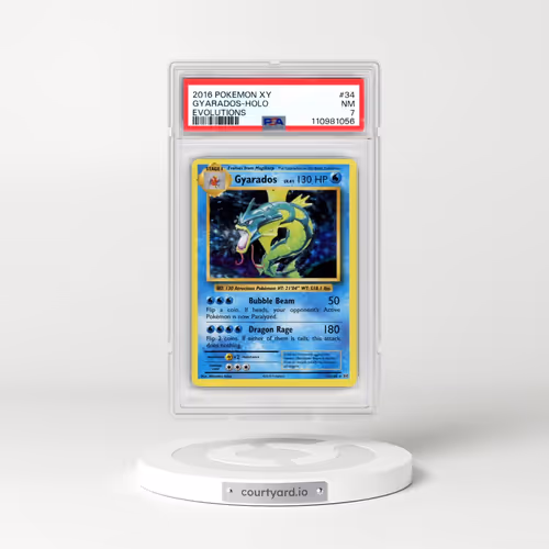 2016 Pokémon XY Evolutions #34 Gyarados - Holo (PSA 7 NM)