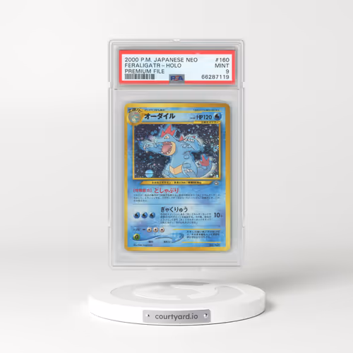 2000 Pokémon Neo #160 Feraligatr - Holo Premium File (PSA 9 MINT)