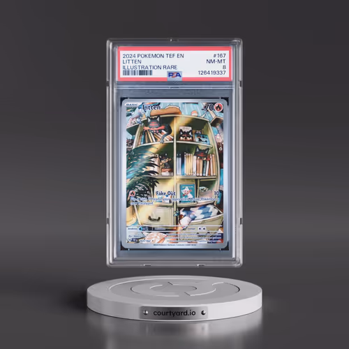 2024 Pokémon Tef EN-Temporal Forces #167 Litten - Illustration Rare (PSA 8 NM-MT)