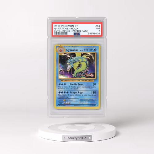 2016 Pokémon XY Evolutions #34 Gyarados - Holo Prerelease (PSA 7 NM)