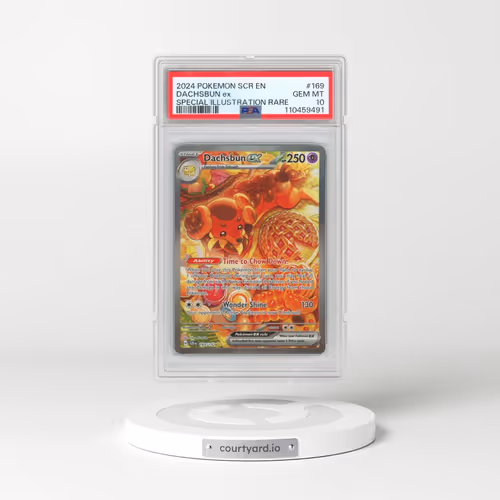 2024 Pokémon Scr EN-Stellar Crown #169 Dachsbun EX - Holo Special Illustration Rare (PSA 10 GEM MINT