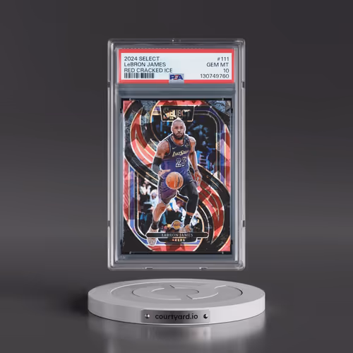 2024 Panini Select #111 LeBron James - Red Cracked Ice (PSA 10 GEM MINT)