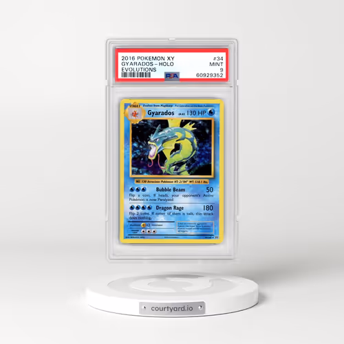 2016 Pokémon XY Evolutions #34 Gyarados - Holo (PSA 9 MINT)