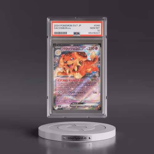 2024 Pokémon SV7-Stellar Miracle #046 Dachsbun EX - Holo (PSA 10 GEM MINT)