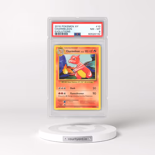 2016 Pokémon XY Evolutions #10 Charmeleon (PSA 8 NM-MT)