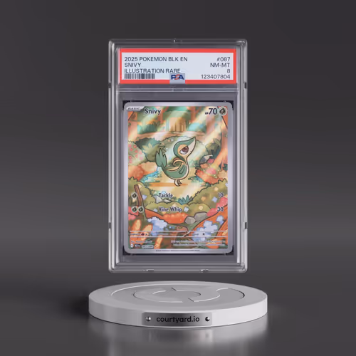 2025 Pokémon Blk EN-Black Bolt #087 Snivy - Illustration Rare (PSA 8 NM-MT)