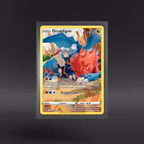 Silver Tempest Trainer Gallery #TG09/TG30 Druddigon