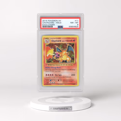 2016 Pokémon XY Evolutions #11 Charizard - Holo (PSA 8 NM-MT)