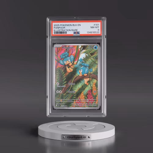 2025 Pokémon Blk EN-Black Bolt #101 Panpour - Illustration Rare (PSA 8 NM-MT)