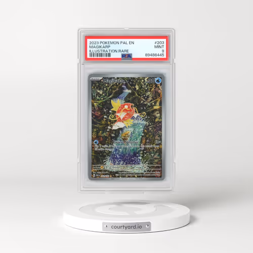 2023 Pokémon Pal EN-Paldea Evolved #203 Magikarp - Illustration Rare (PSA 9 MINT)