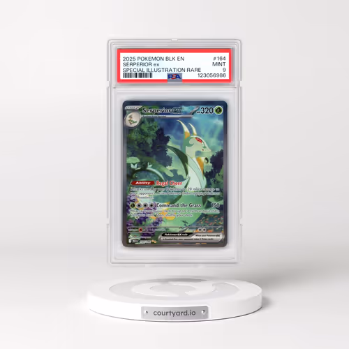 2025 Pokémon Blk EN-Black Bolt #164 Serperior EX - Holo Special Illustration Rare (PSA 9 MINT)