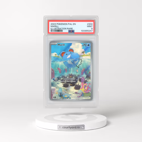 2023 Pokémon Pal EN-Paldea Evolved #204 Marill - Illustration Rare (PSA 9 MINT)