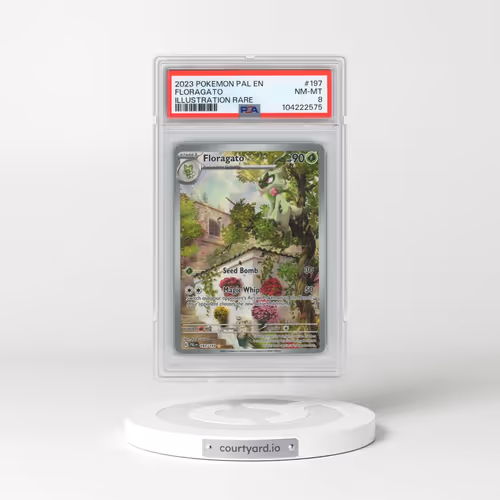 2023 Pokémon Pal EN-Paldea Evolved #197 Floragato - Illustration Rare (PSA 8 NM-MT)