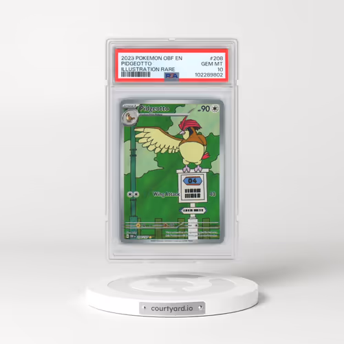 2023 Pokémon Obf EN-Obsidian Flames #208 Pidgeotto - Illustration Rare (PSA 10 GEM MINT)