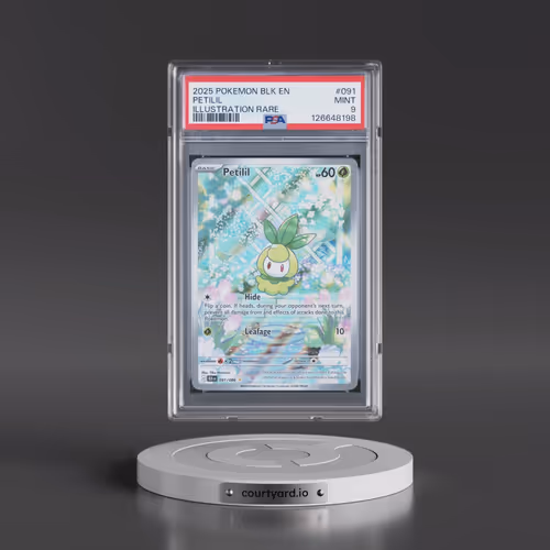 2025 Pokémon Blk EN-Black Bolt #091 Petilil - Illustration Rare (PSA 9 MINT)