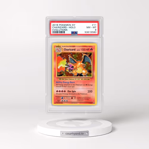 2016 Pokémon XY Evolutions #11 Charizard - Holo (PSA 8 NM-MT)