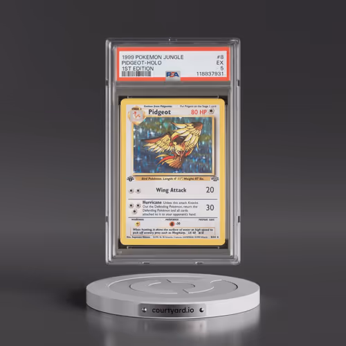 1999 Pokémon Jungle #8 Pidgeot - 1st Edition Holo (PSA 5 EX)