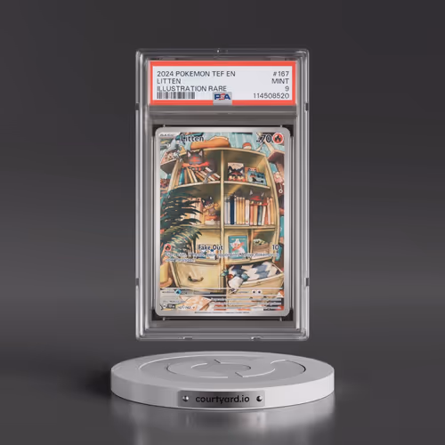 2024 Pokémon Tef EN-Temporal Forces #167 Litten - Illustration Rare (PSA 9 MINT)