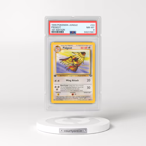 1999 Pokémon Jungle #24 Pidgeot - 1st Edition (PSA 8 NM-MT)
