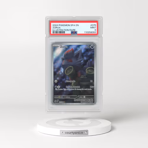 2024 Pokémon Sfa EN-Shrouded Fable #075 Zorua - Illustration Rare (PSA 9 MINT)