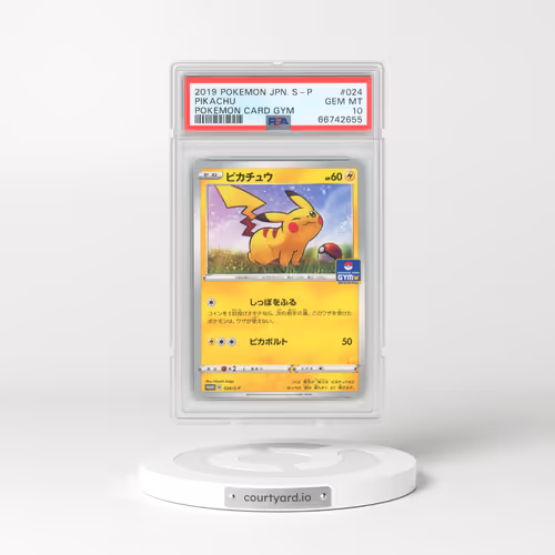 2019 Pokémon S Promo #024 Pikachu - Pokemon Card Gym (PSA 10 GEM MINT)