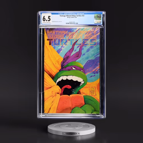 Teenage Mutant Ninja Turtles #22 CGC 6.5 Off-white to White Pages (Mirage Studios, 6/89) - Universal