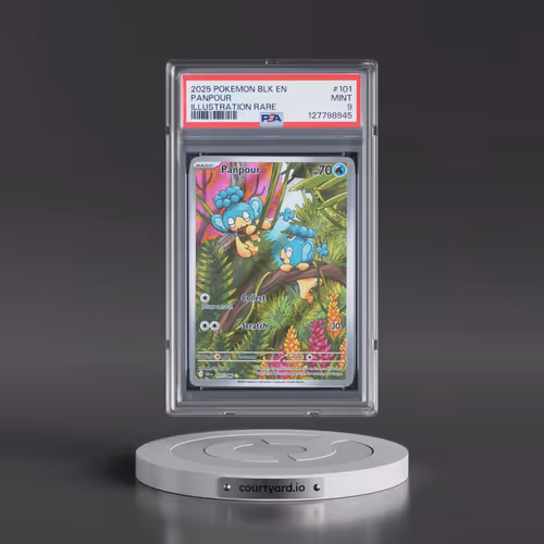 2025 Pokémon Blk EN-Black Bolt #101 Panpour - Illustration Rare (PSA 9 MINT)