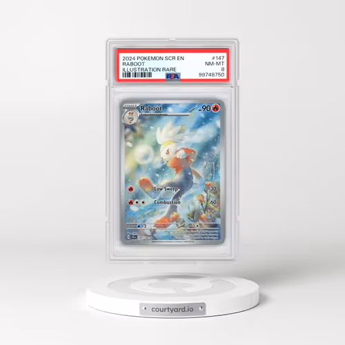 2024 Pokémon Scr EN-Stellar Crown #147 Raboot - Illustration Rare (PSA 8 NM-MT)