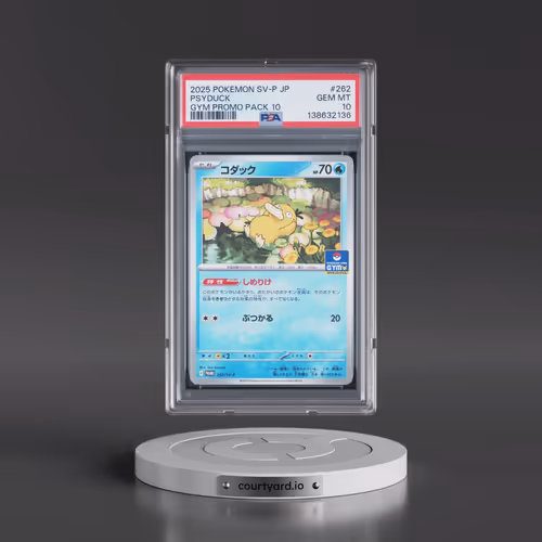 2025 Pokémon SV-P Promo #262 Psyduck - Gym Promo Pack 10 (PSA 10 GEM MINT)
