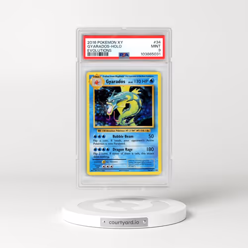 2016 Pokémon XY Evolutions #34 Gyarados - Holo (PSA 9 MINT)