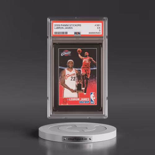 2009 Panini Stickers #381 LeBron James (PSA 5 EX)