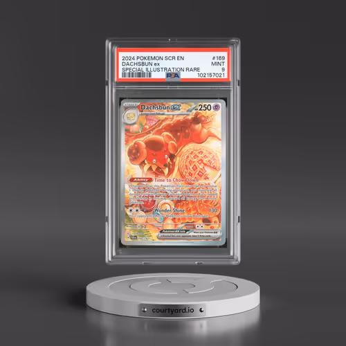 2024 Pokémon Scr EN-Stellar Crown #169 Dachsbun EX - Holo Special Illustration Rare (PSA 9 MINT)