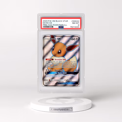 2020 Pokémon SM Black Star Promo #SM242 Eevee GX - Holo Tag Team Powers Collection (PSA 8 NM-MT)