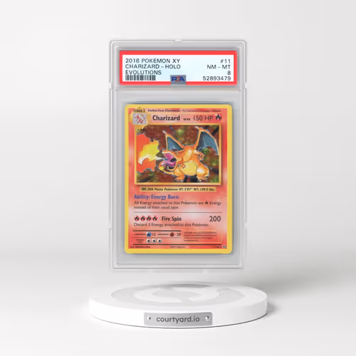 2016 Pokémon XY Evolutions #11 Charizard - Holo (PSA 8 NM-MT)