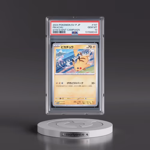 2024 Pokémon SV-P Promo #197 Pikachu - Gym Event Campaign (PSA 10 GEM MINT)
